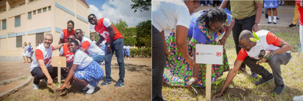 Planting trees